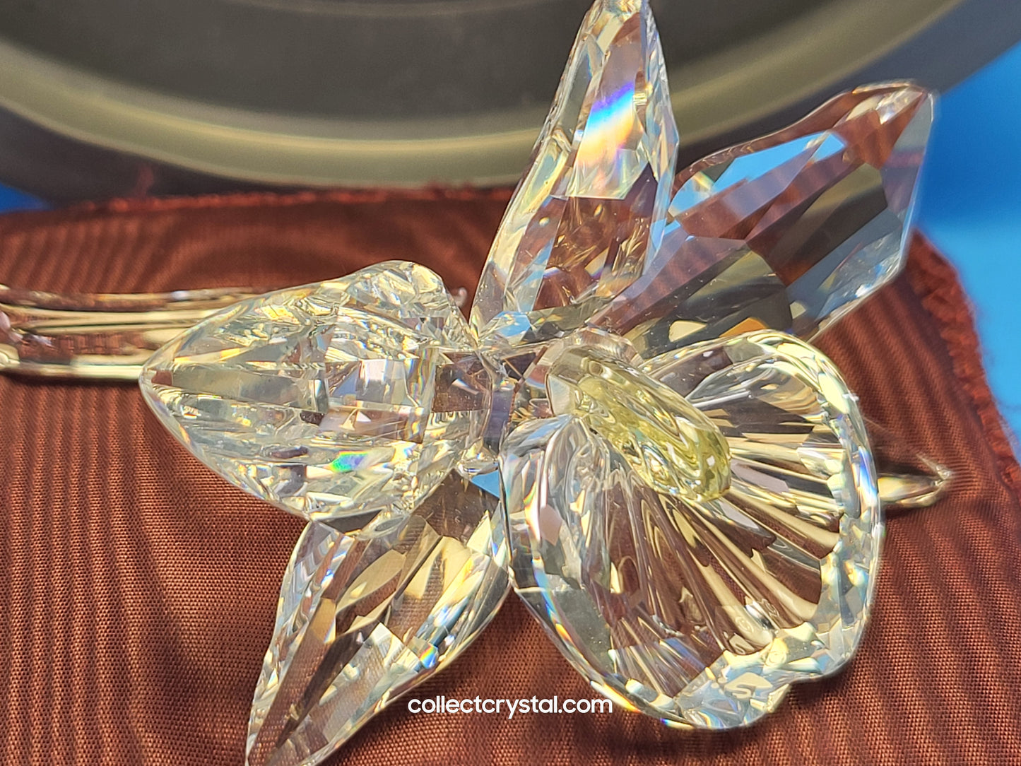 ORCHID FLOWER – YELLOW LIGHT CENTER # 200280