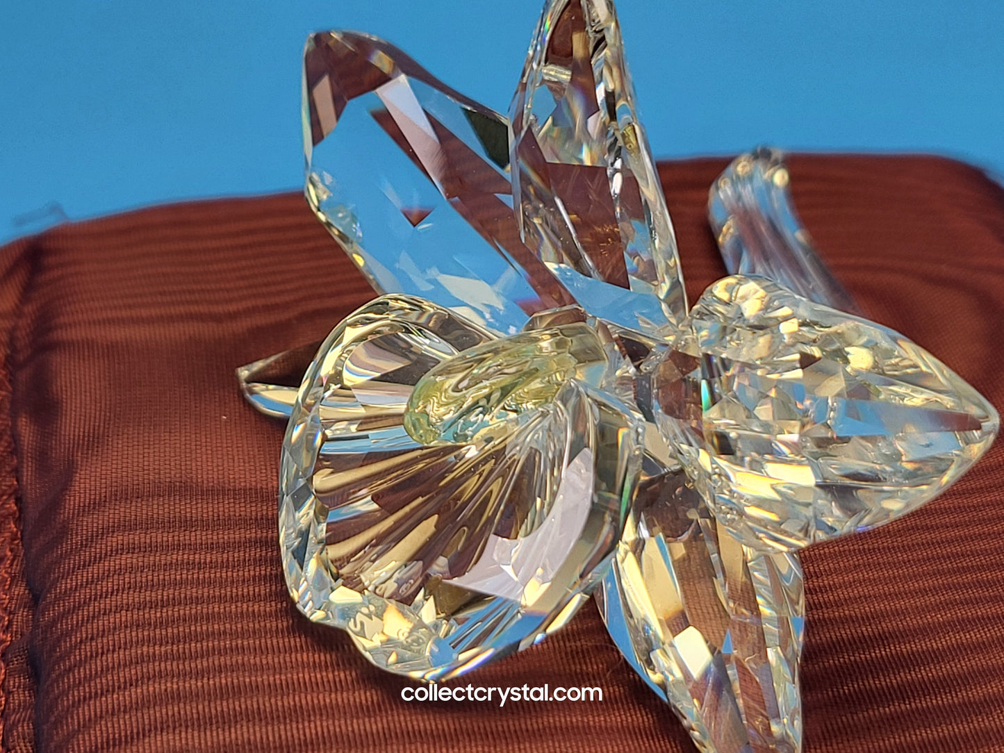 ORCHID FLOWER – YELLOW LIGHT CENTER # 200280
