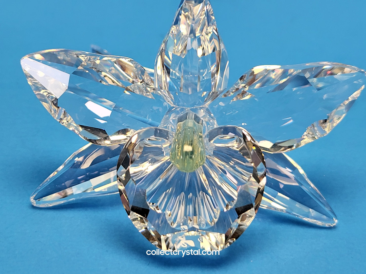 ORCHID FLOWER – YELLOW LIGHT CENTER # 200280