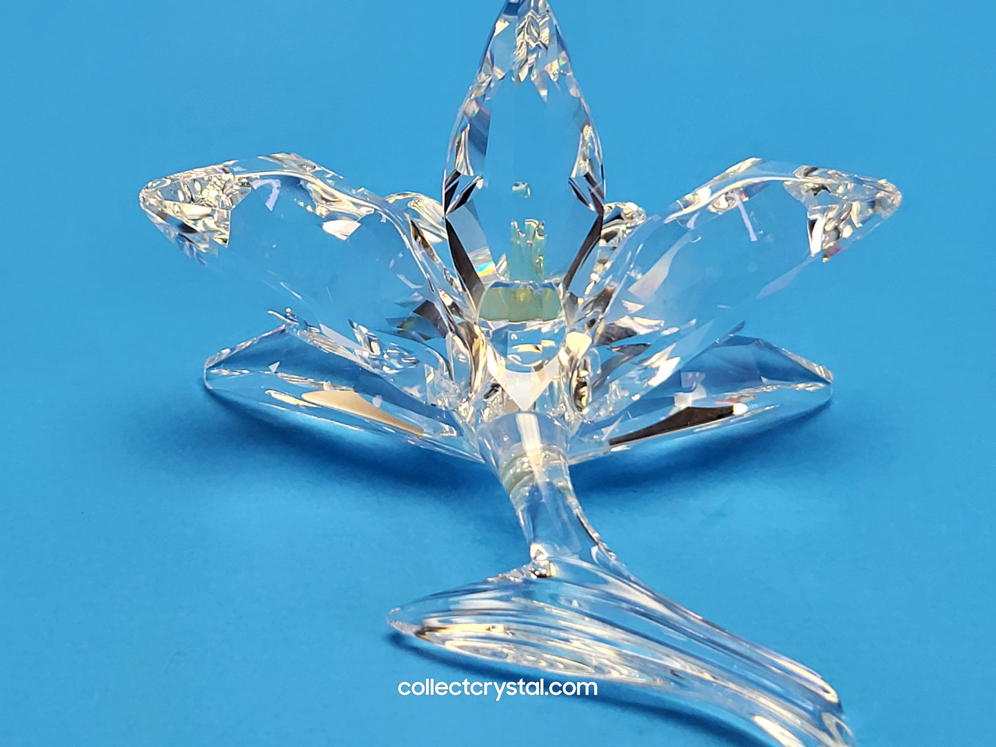 ORCHID FLOWER – YELLOW LIGHT CENTER # 200280