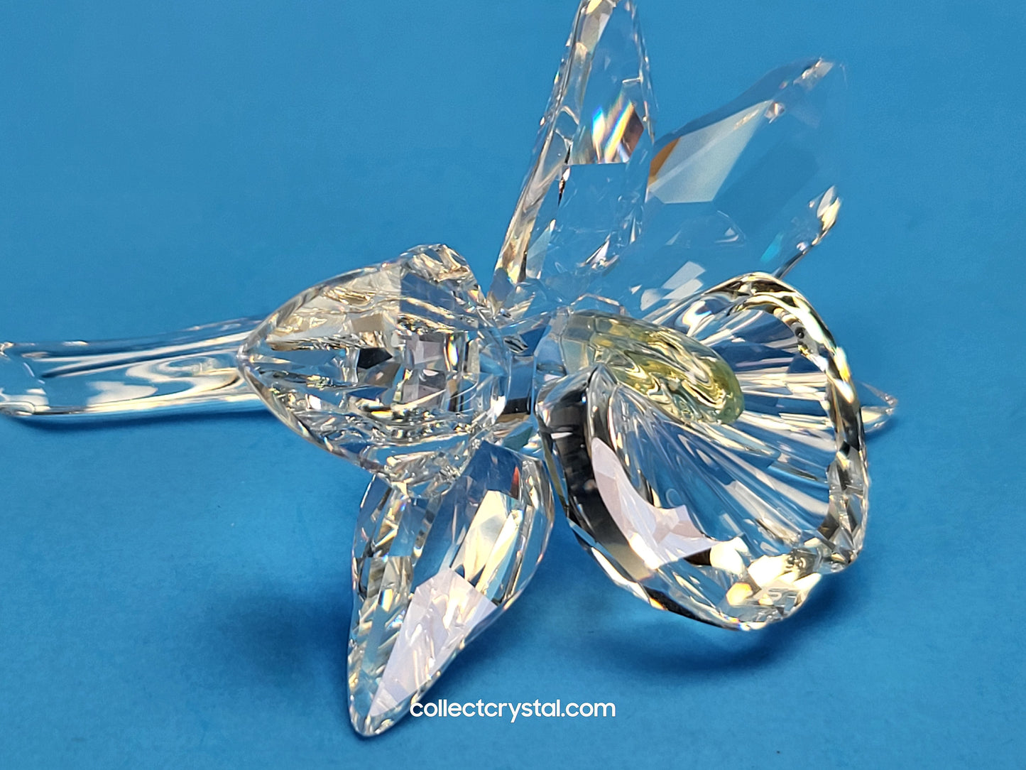 ORCHID FLOWER – YELLOW LIGHT CENTER # 200280