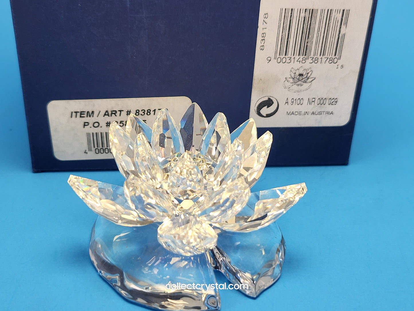WATERLILY LARGE 838178