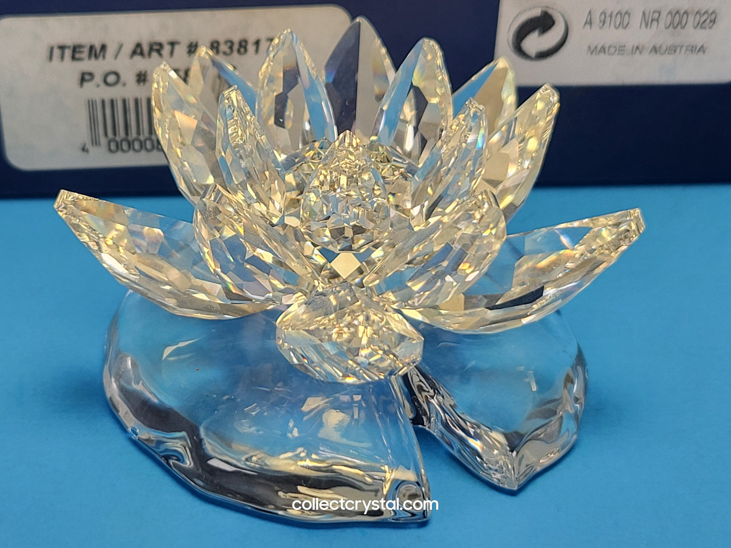 WATERLILY LARGE 838178