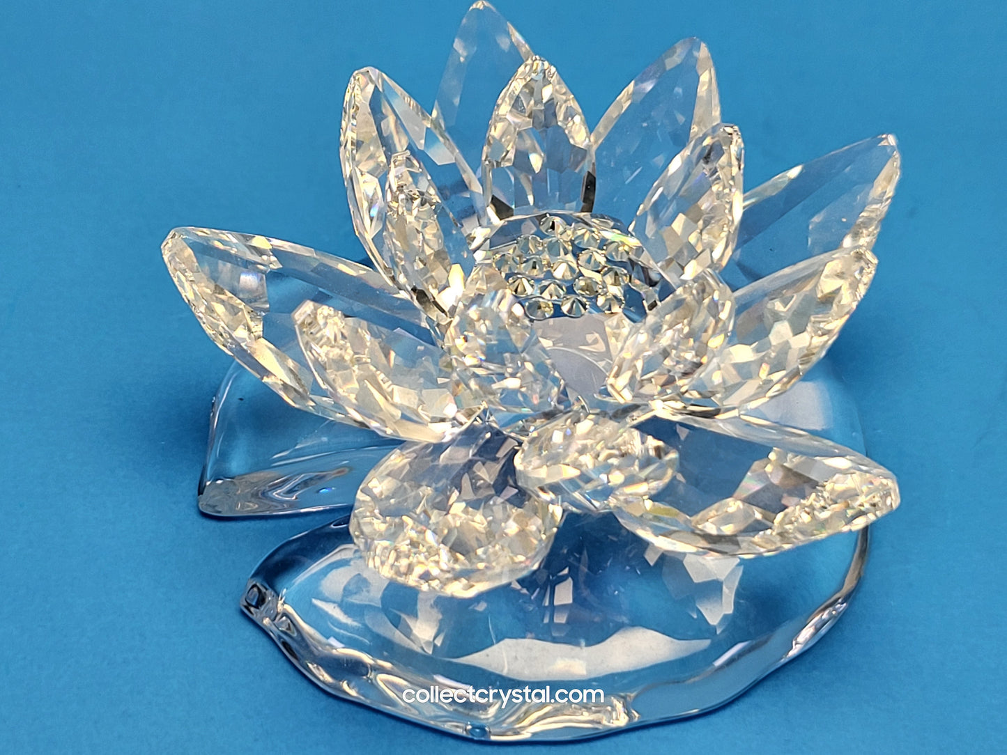 WATERLILY LARGE 838178