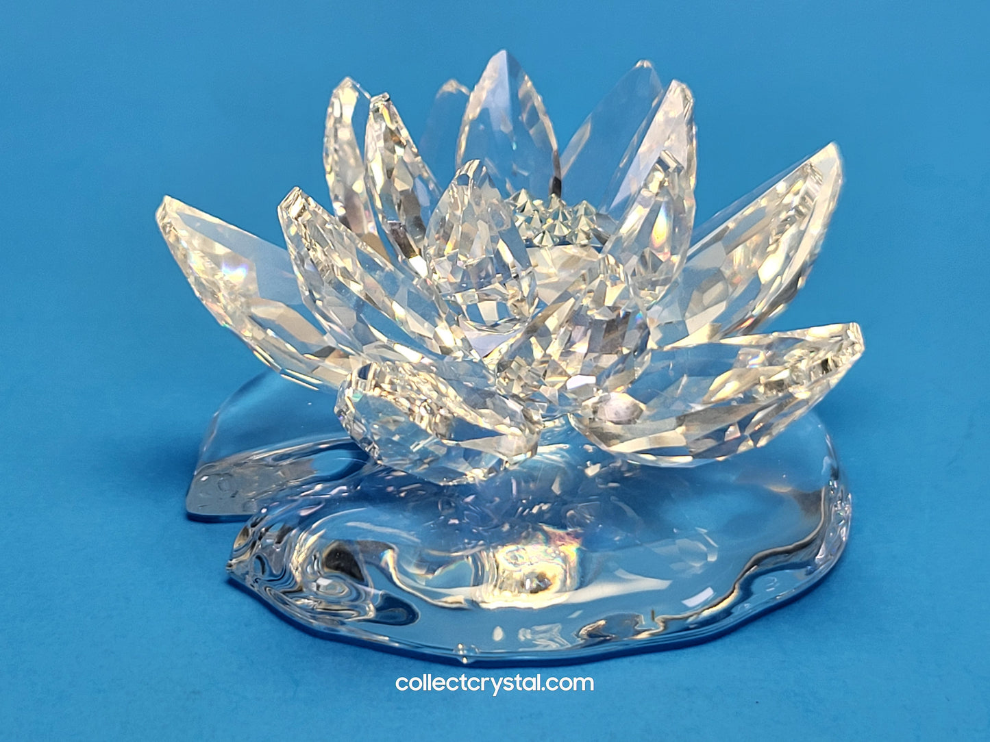 WATERLILY LARGE 838178