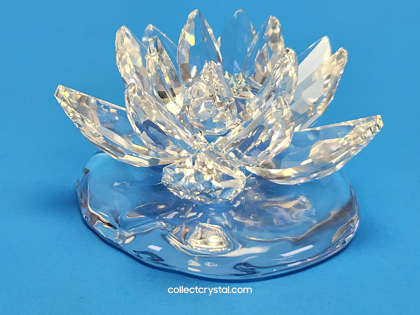 WATERLILY LARGE 838178
