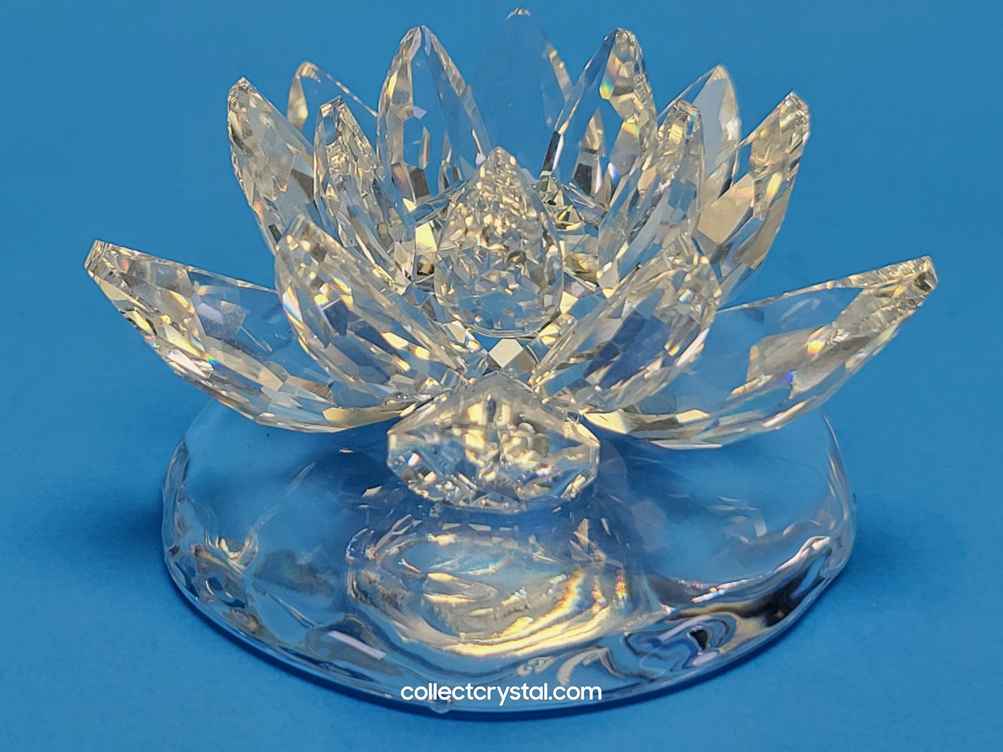 WATERLILY LARGE 838178