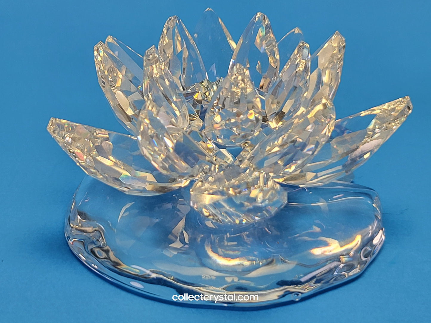 WATERLILY LARGE 838178