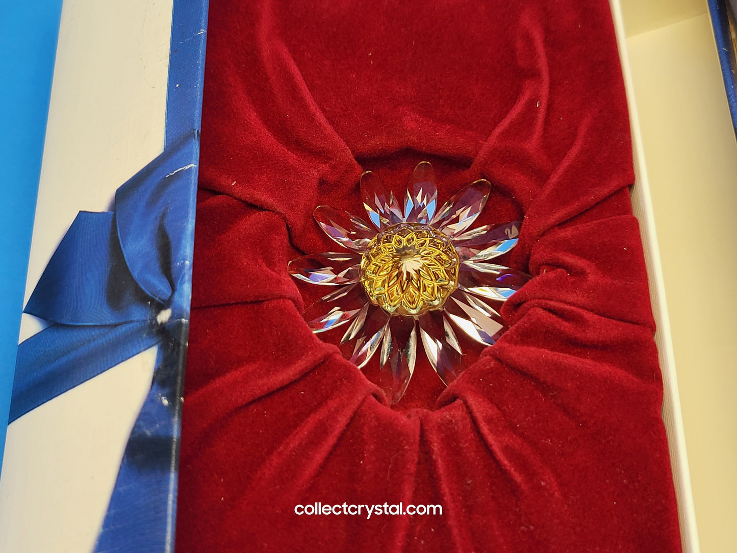 RENEWAL GIFT – MARGUERITE YELLOW 229778