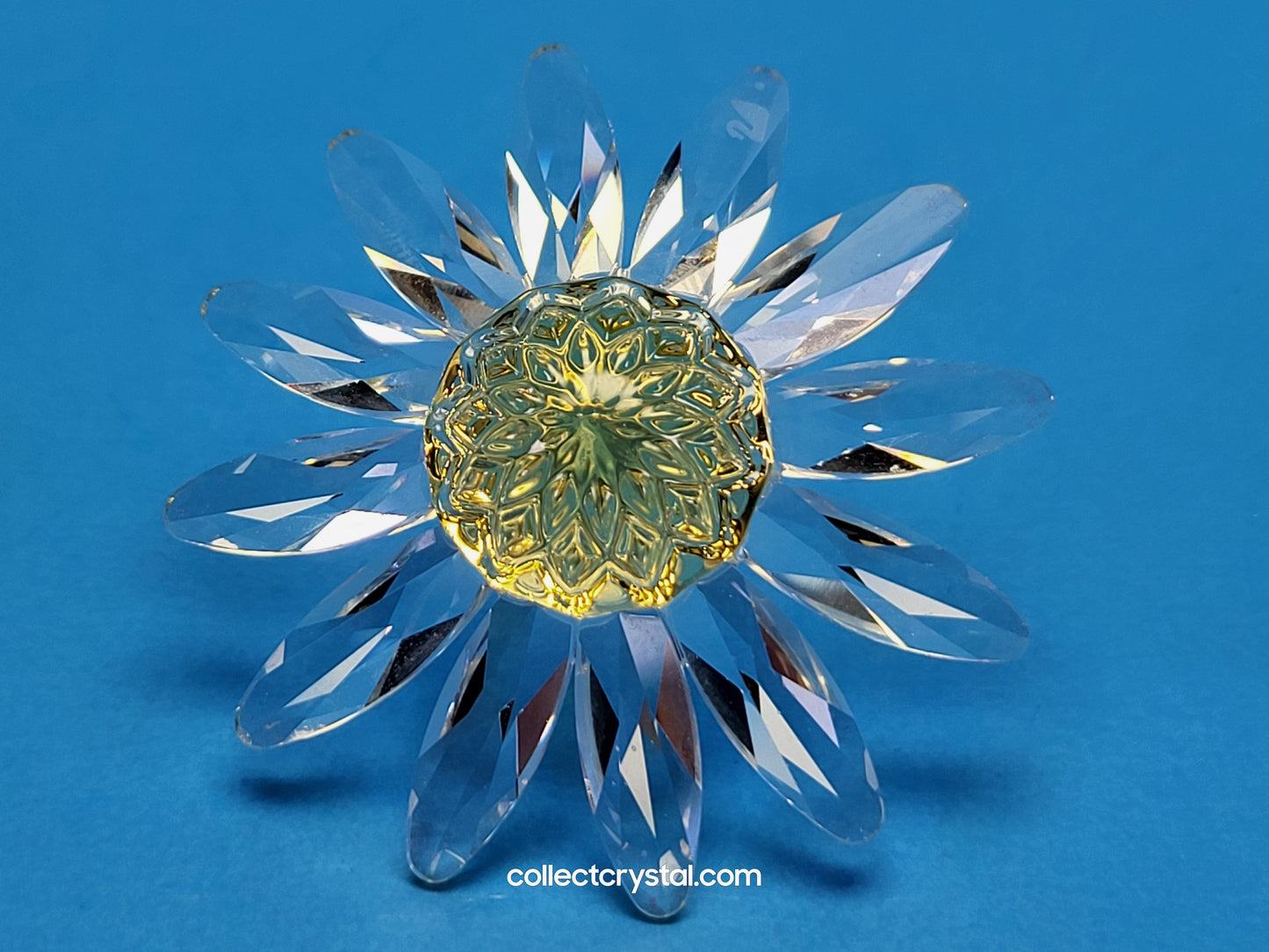 RENEWAL GIFT – MARGUERITE YELLOW 229778