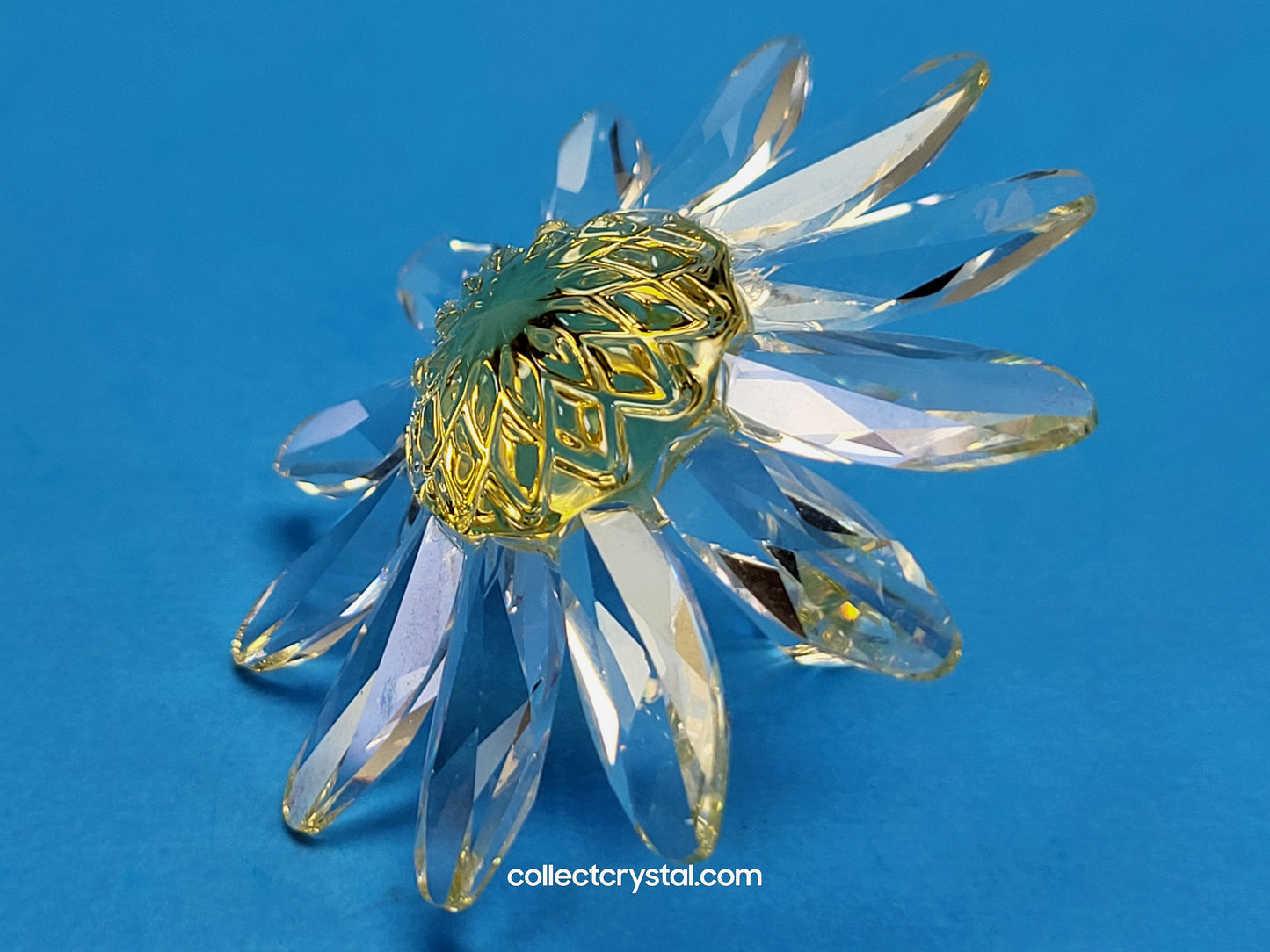 RENEWAL GIFT – MARGUERITE YELLOW 229778