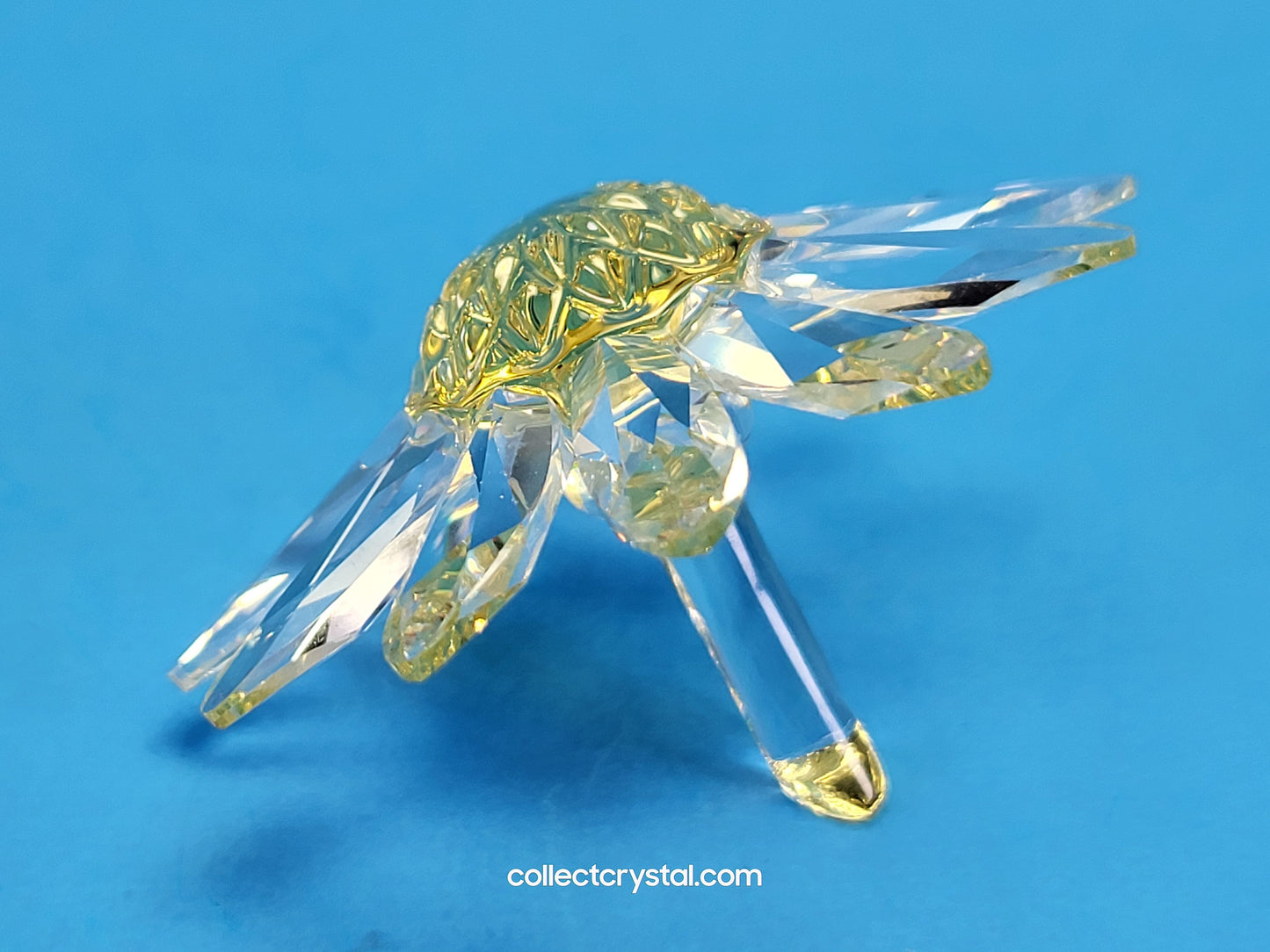 RENEWAL GIFT – MARGUERITE YELLOW 229778