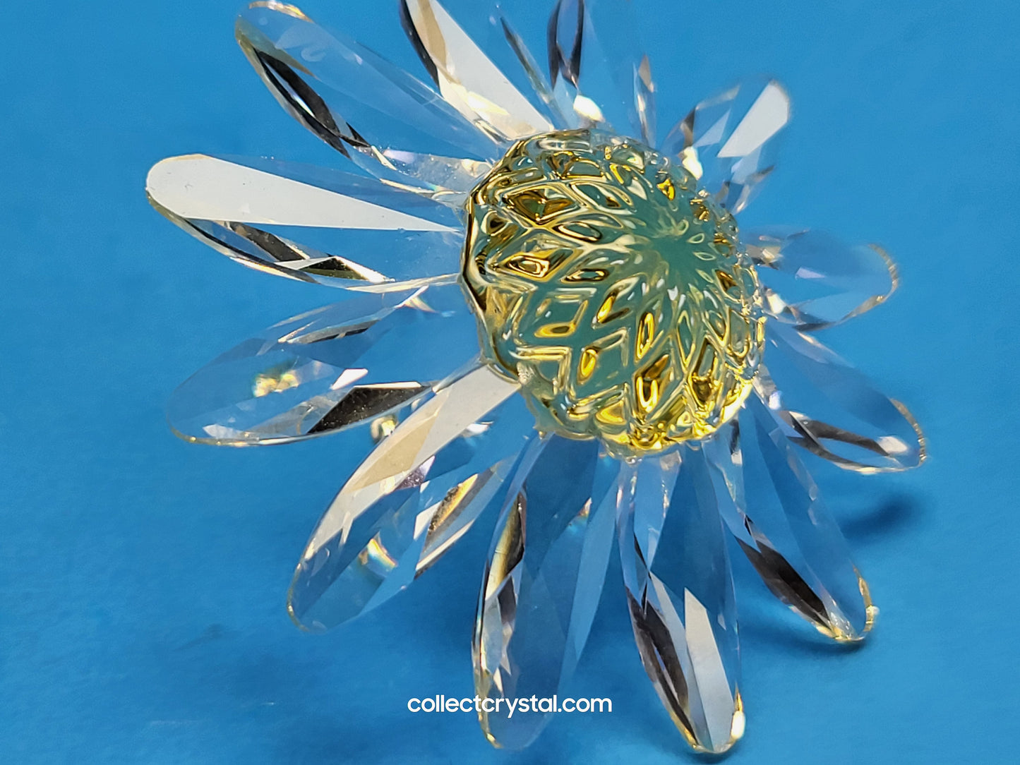 RENEWAL GIFT – MARGUERITE YELLOW 229778