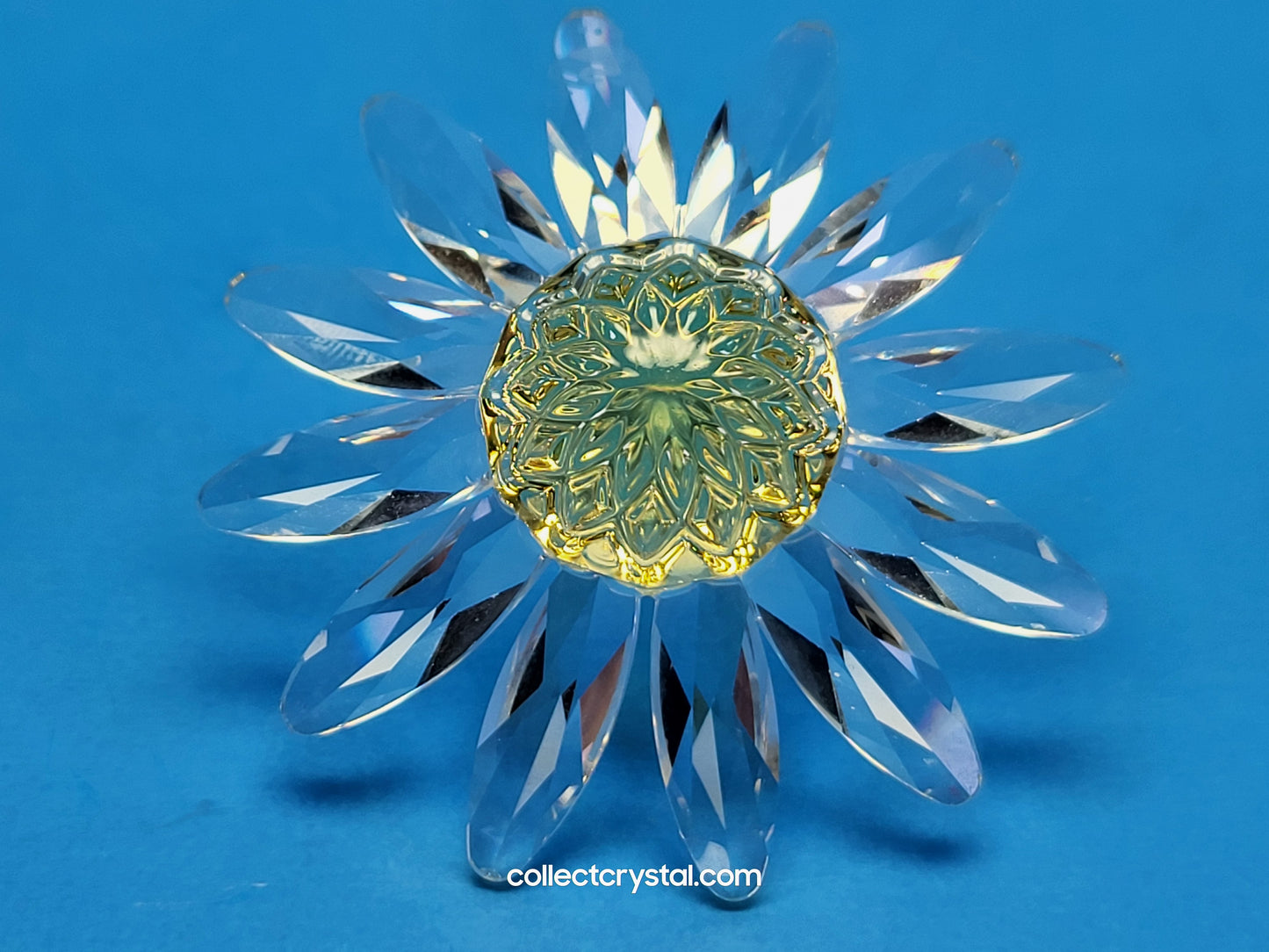 RENEWAL GIFT – MARGUERITE YELLOW 229778