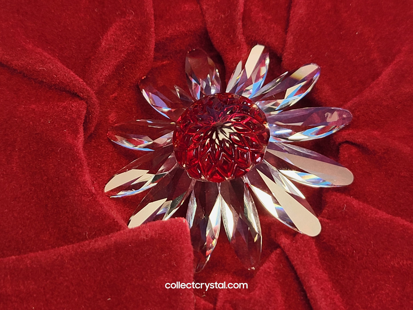 RENEWAL GIFT – MARGUERITE Red 252371 cake topper