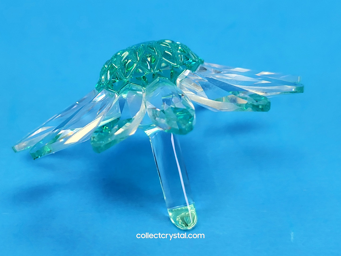 RENEWAL GIFT – MARGUERITE GREEN 227537 cake topper