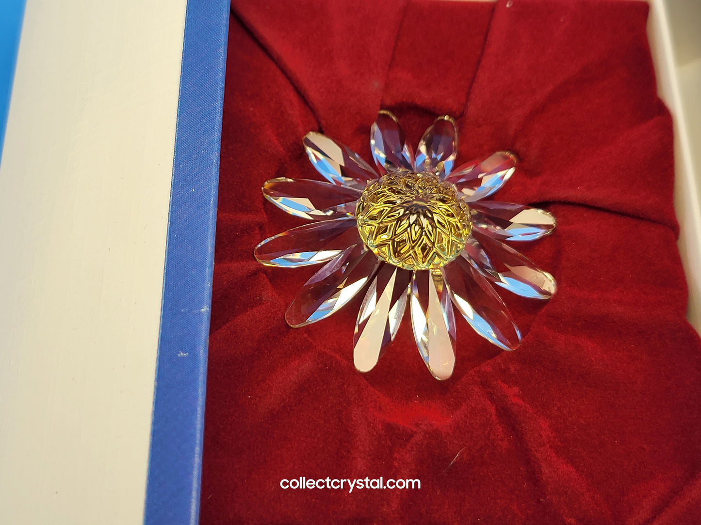 RENEWAL GIFT – MARGUERITE YELLOW with mini's 229778