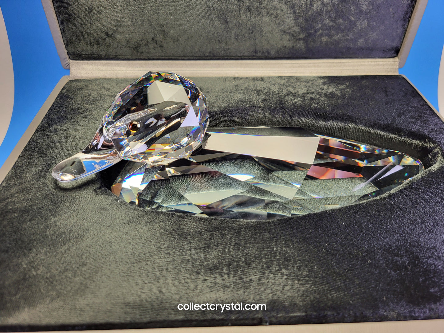 MALLARD / DUCK GIANT # 014438