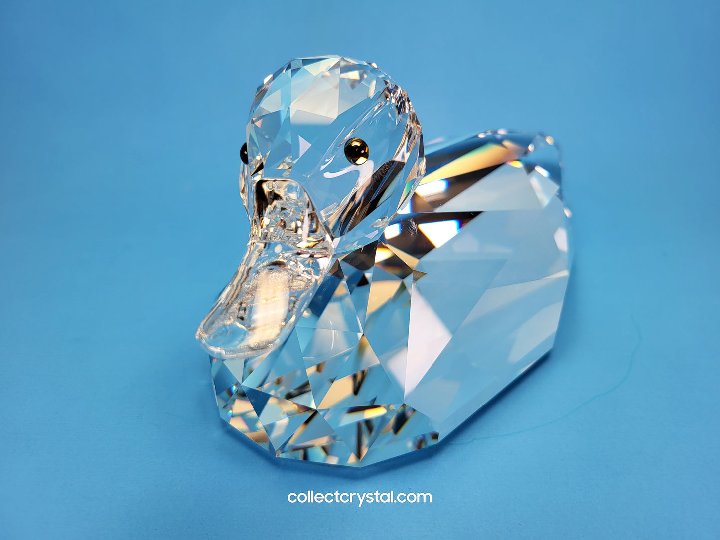 MALLARD / DUCK GIANT # 014438