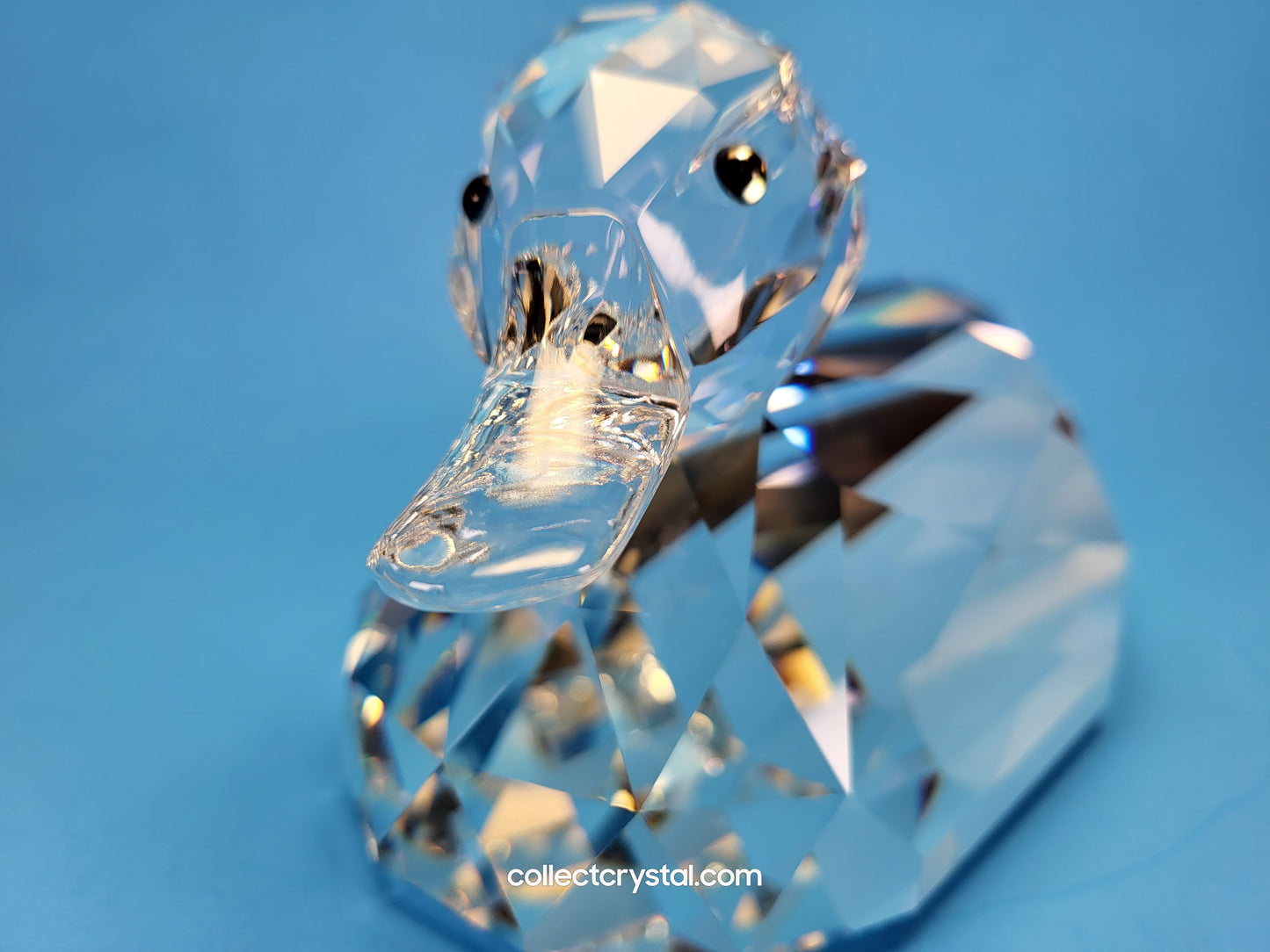 MALLARD / DUCK GIANT # 014438