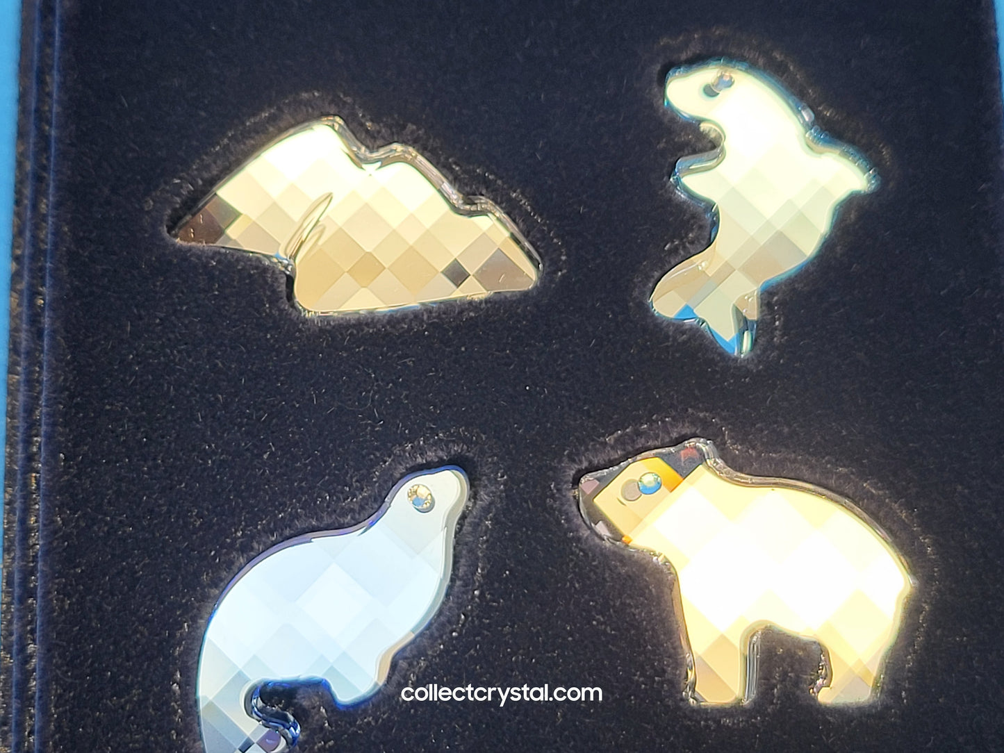 Magnets Artic Friends polar bear, seal, whale & mountain # 718986