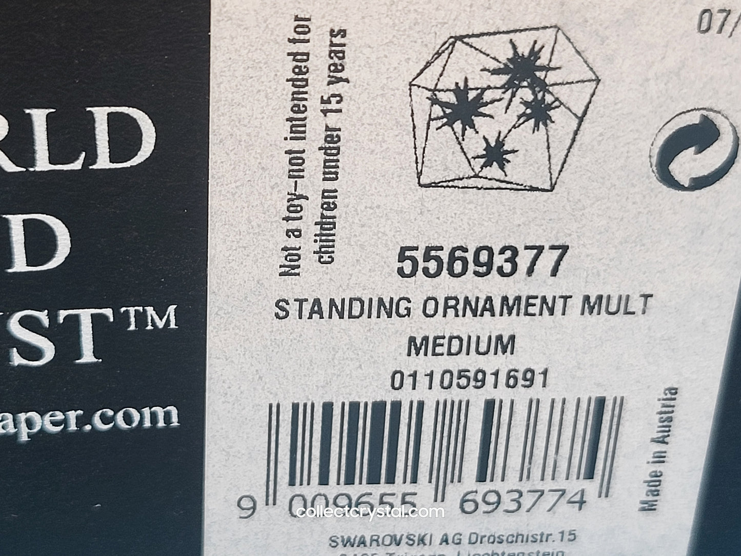 ETERNAL STAR STANDING ORNAMENT MEDIUM CLEAR 5569377