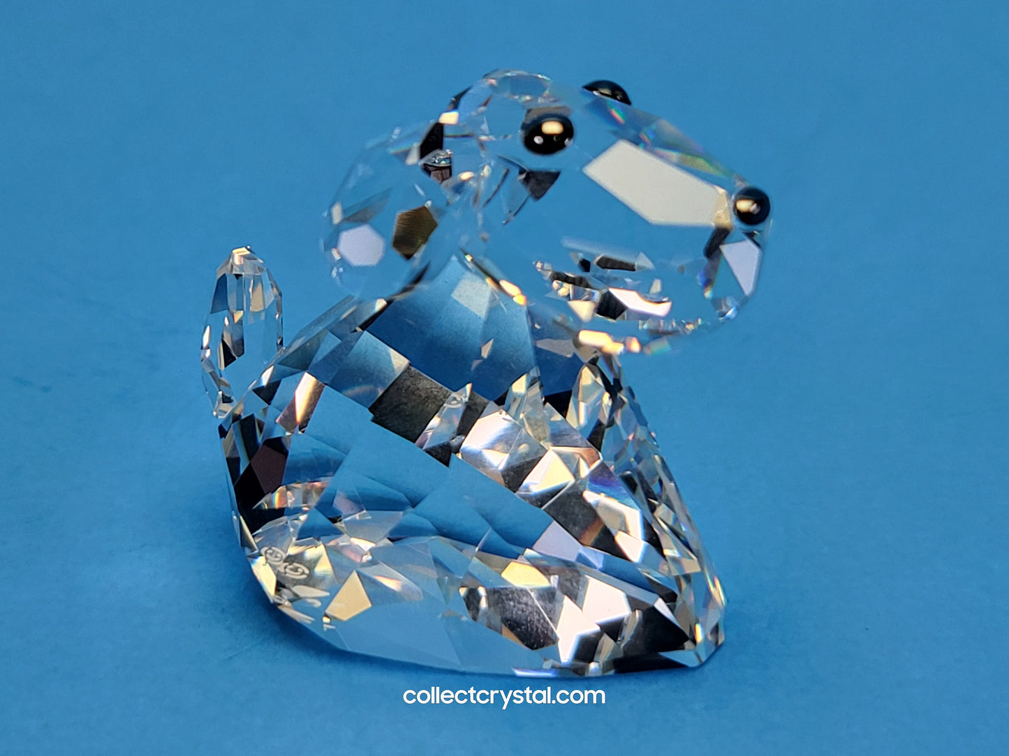 LOVLOTS PIONEERS – ROBBY B DOG 840908