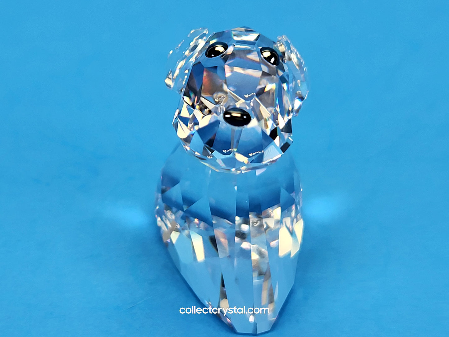 LOVLOTS PIONEERS – ROBBY B DOG 840908