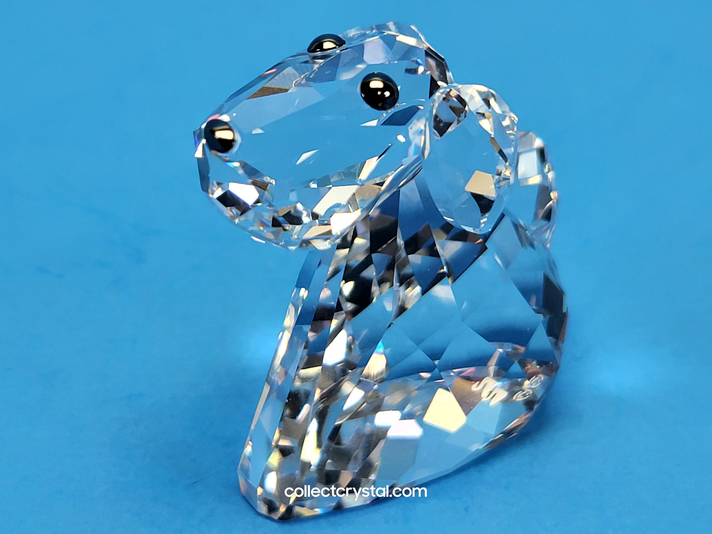 LOVLOTS PIONEERS – ROBBY B DOG 840908