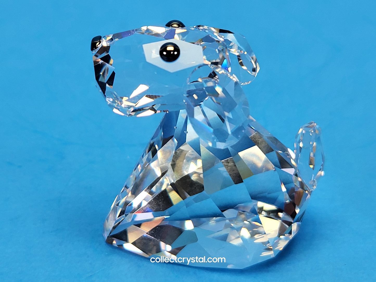LOVLOTS PIONEERS – ROBBY B DOG 840908