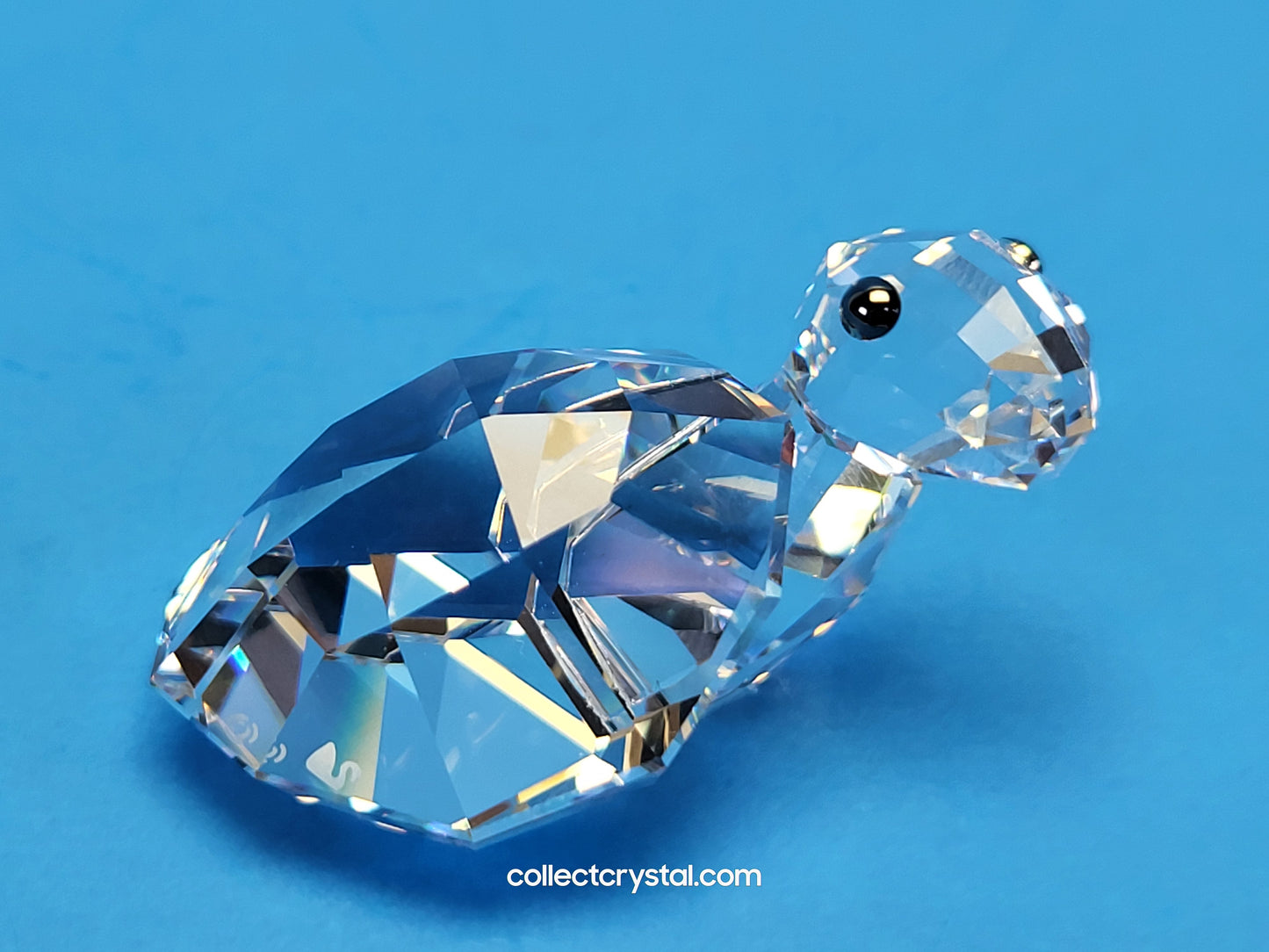 LOVLOTS PIONEERS – WIN WIN / WINWIN TURTLE 839869