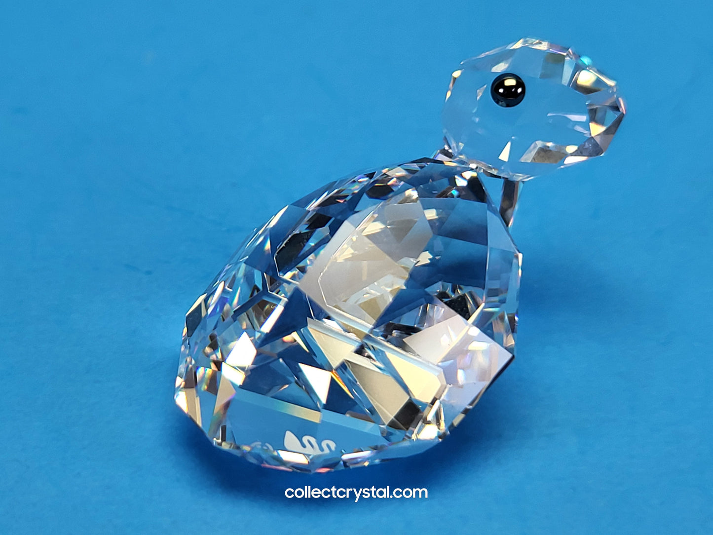 LOVLOTS PIONEERS – WIN WIN / WINWIN TURTLE 839869