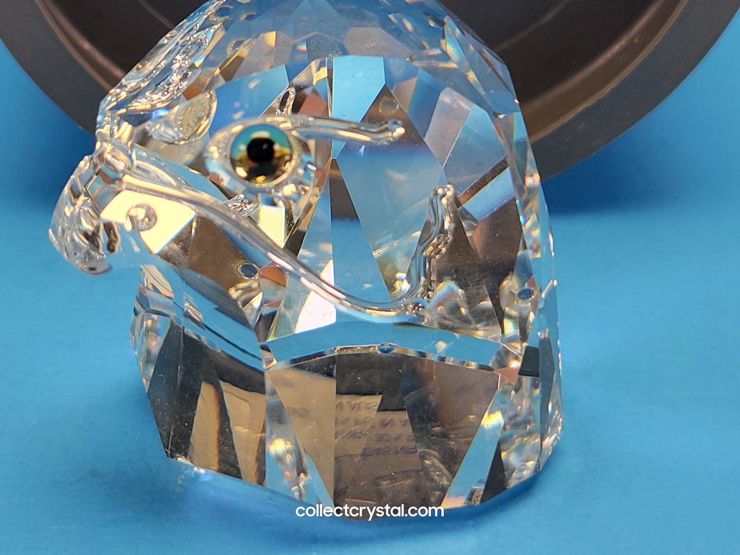 FALCON HEAD SMALL 013829