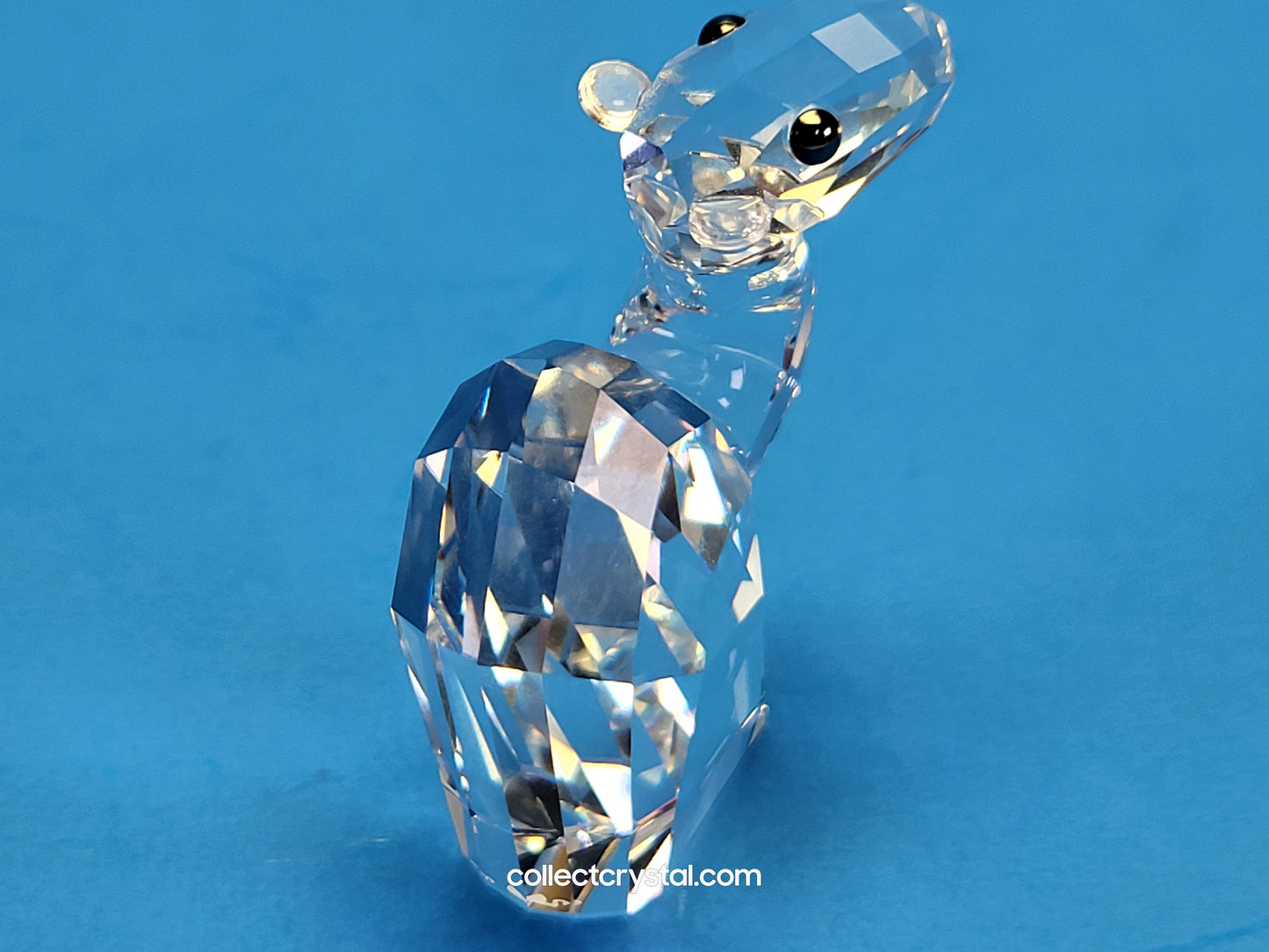 LOVLOTS PIONEERS – LAY Z CAMEL 887730