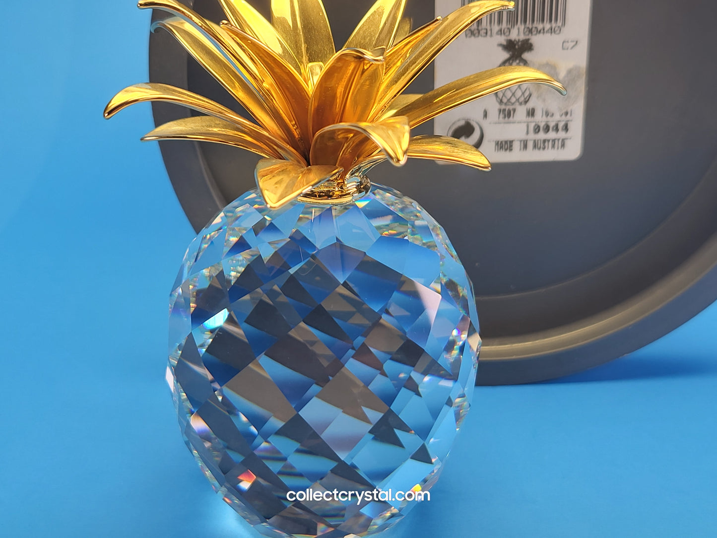 PINEAPPLE GOLD LARGE SMOOTH LEAVES (rounder shape) # 010044
