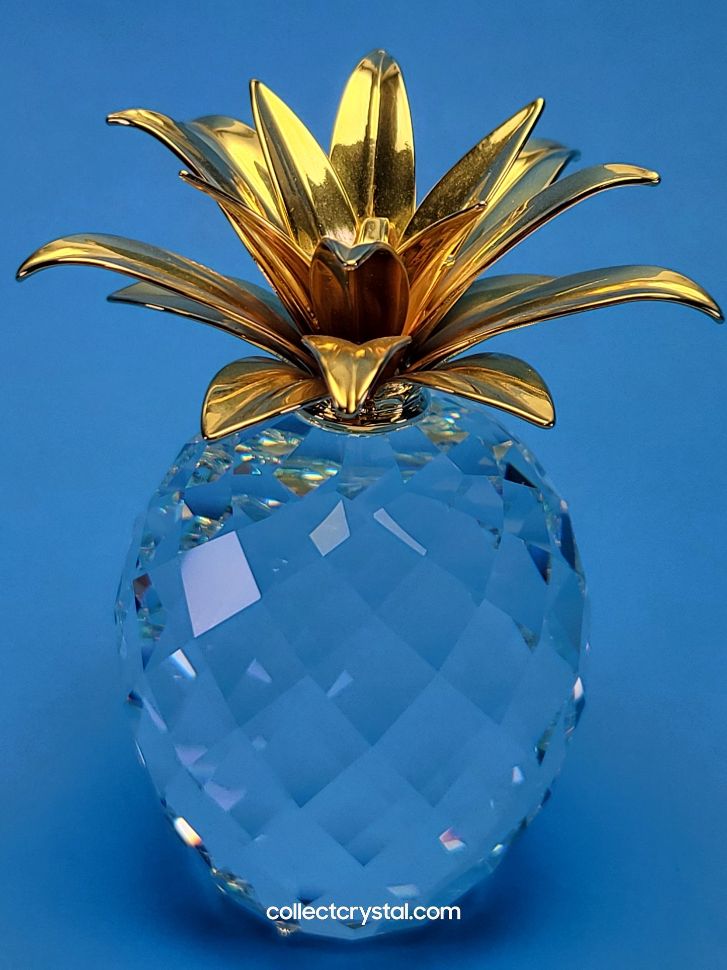 PINEAPPLE GOLD LARGE SMOOTH LEAVES (rounder shape) # 010044