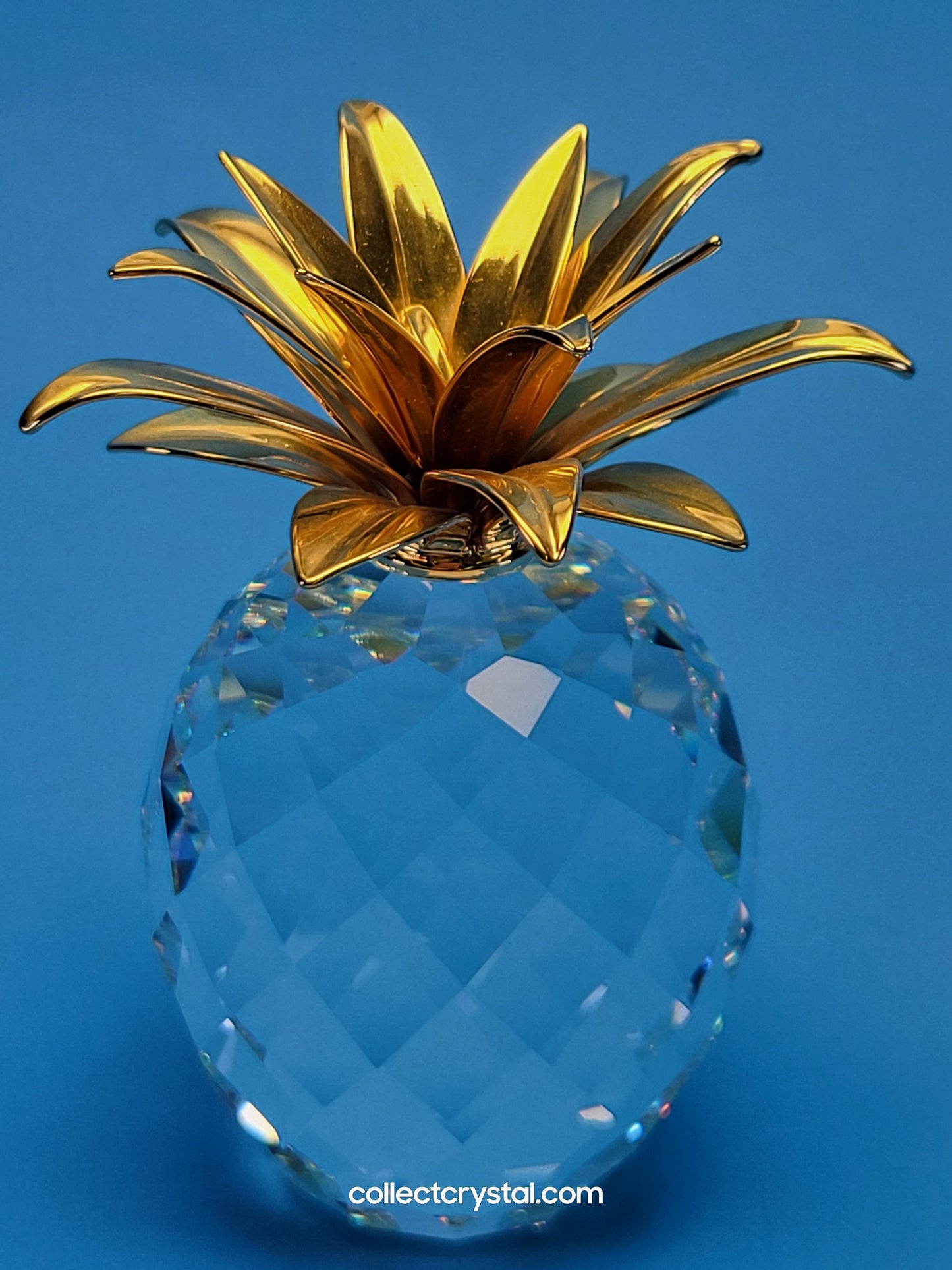 PINEAPPLE GOLD LARGE SMOOTH LEAVES (rounder shape) # 010044