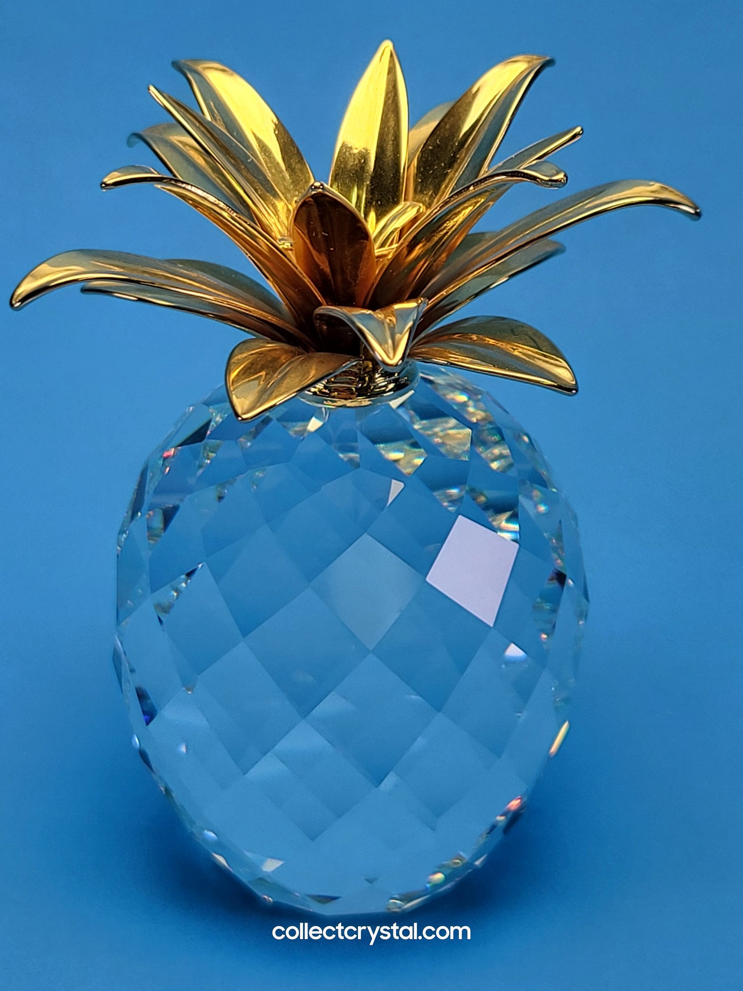 PINEAPPLE GOLD LARGE SMOOTH LEAVES (rounder shape) # 010044