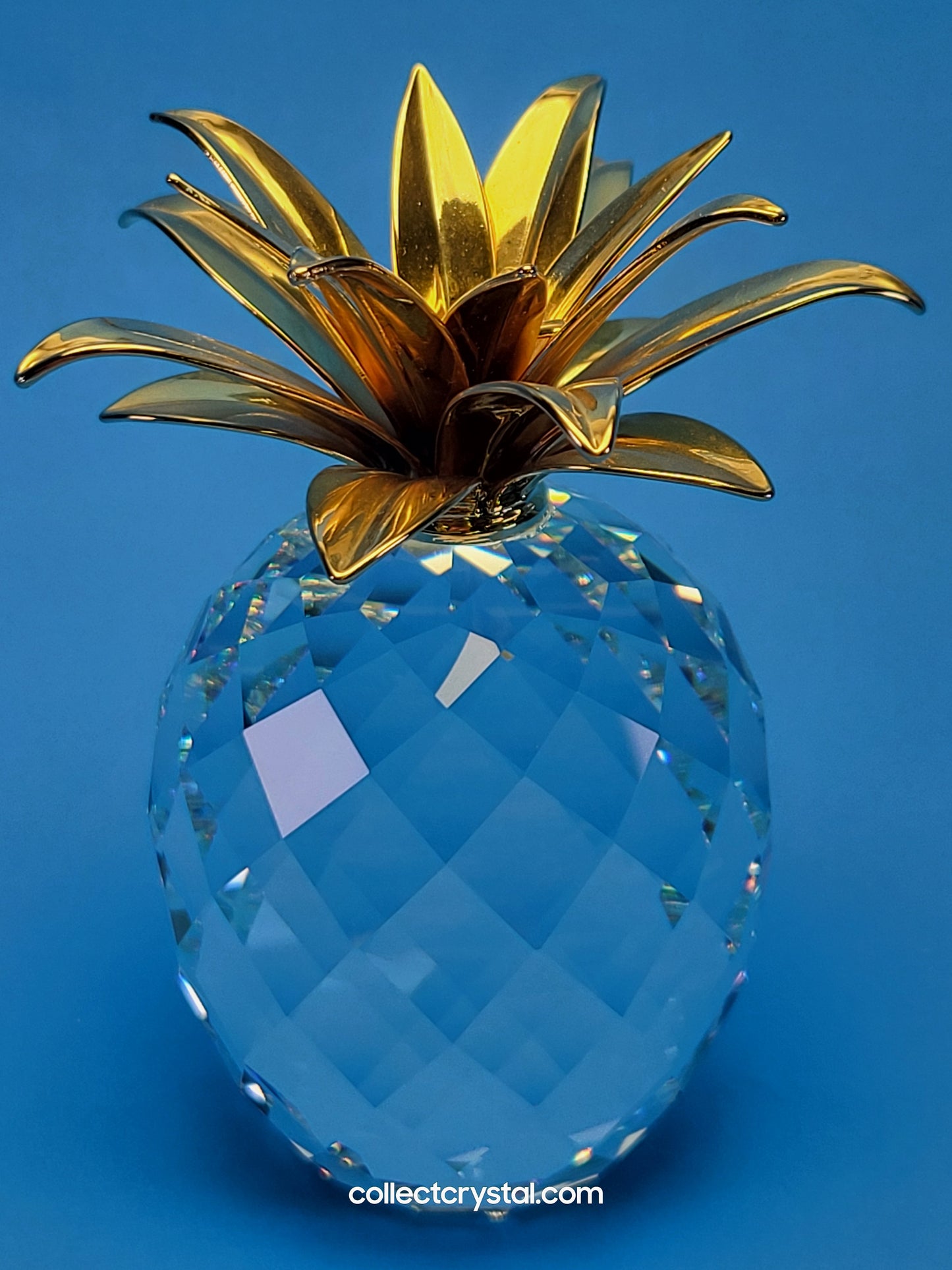 PINEAPPLE GOLD LARGE SMOOTH LEAVES (rounder shape) # 010044