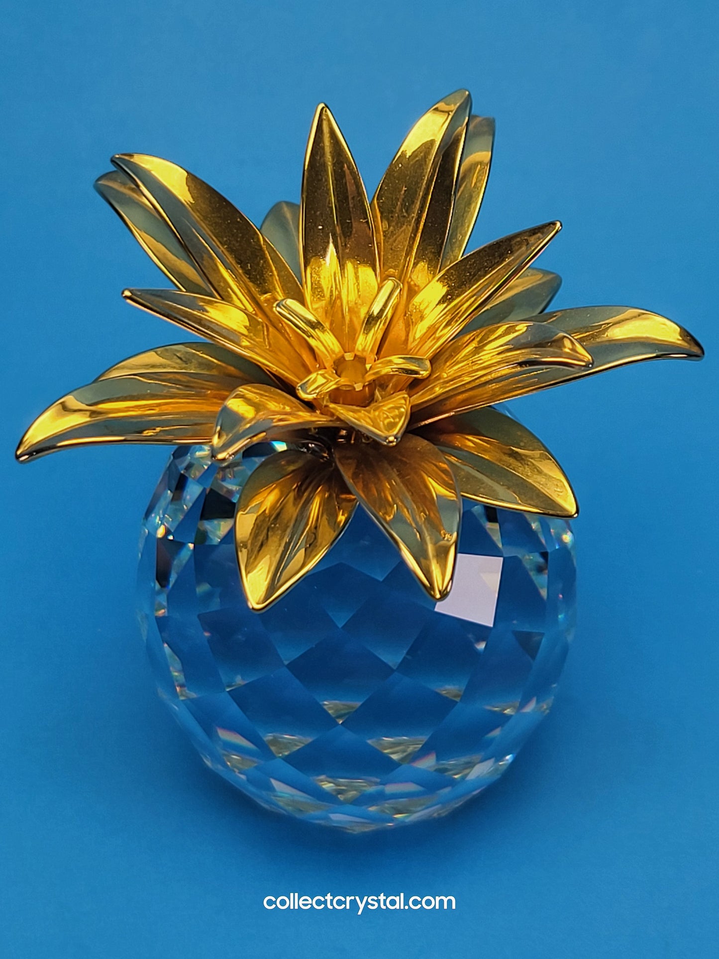 PINEAPPLE GOLD LARGE SMOOTH LEAVES (rounder shape) # 010044
