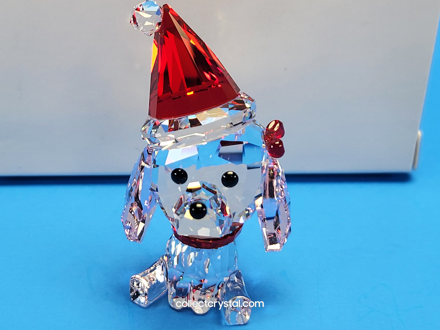 HOLIDAY CHEERS – POODLE 5625854