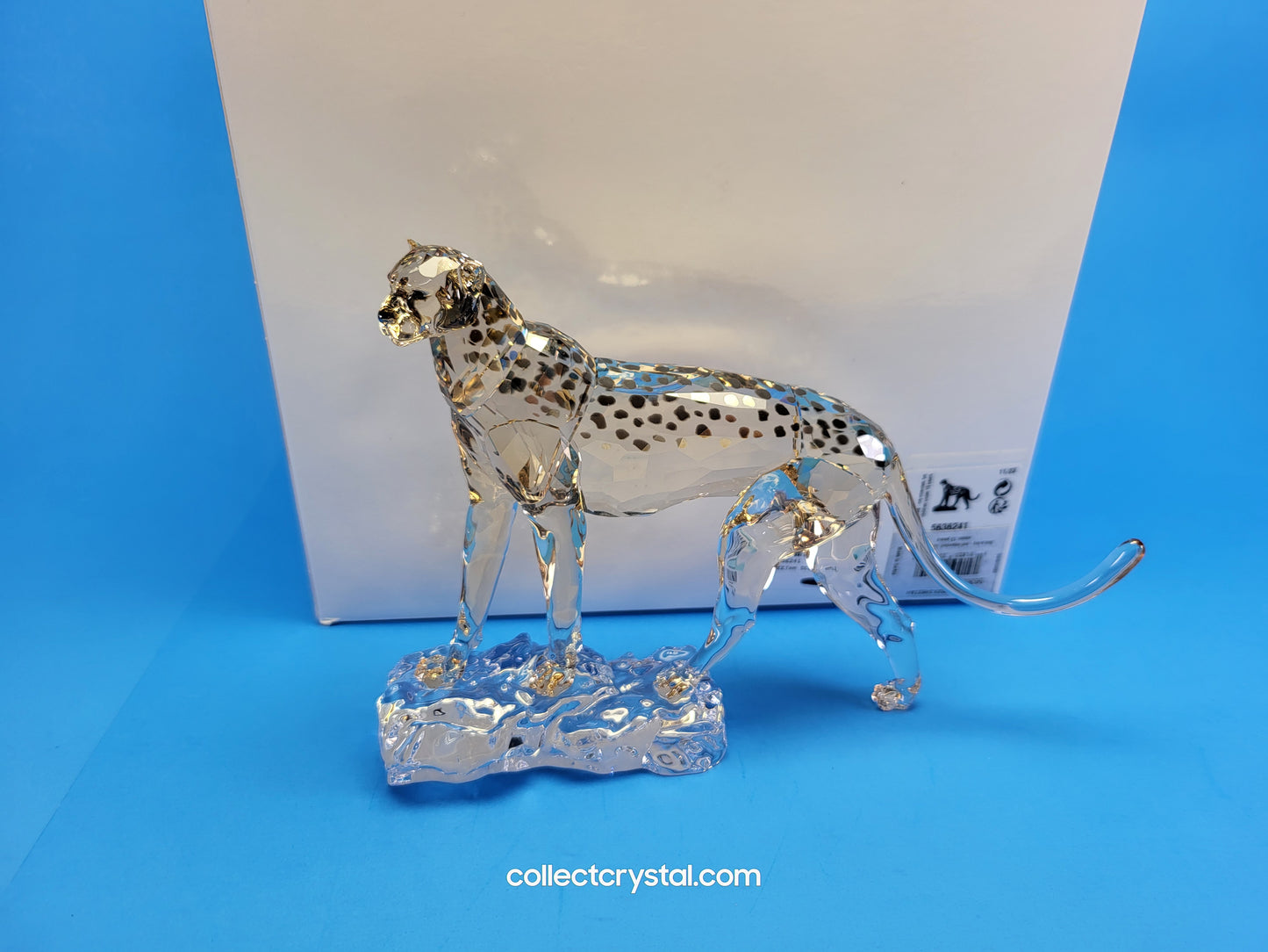 ELEGANCE OF AFRICA CHEETAH MEHIRA # 5636241 2023 ANNUAL EDITION