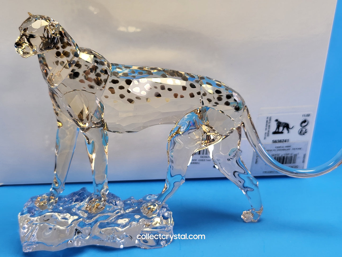 ELEGANCE OF AFRICA CHEETAH MEHIRA # 5636241 2023 ANNUAL EDITION