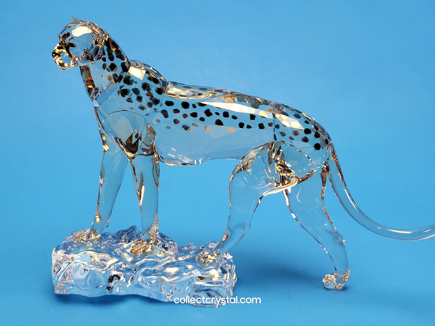 ELEGANCE OF AFRICA CHEETAH MEHIRA # 5636241 2023 ANNUAL EDITION