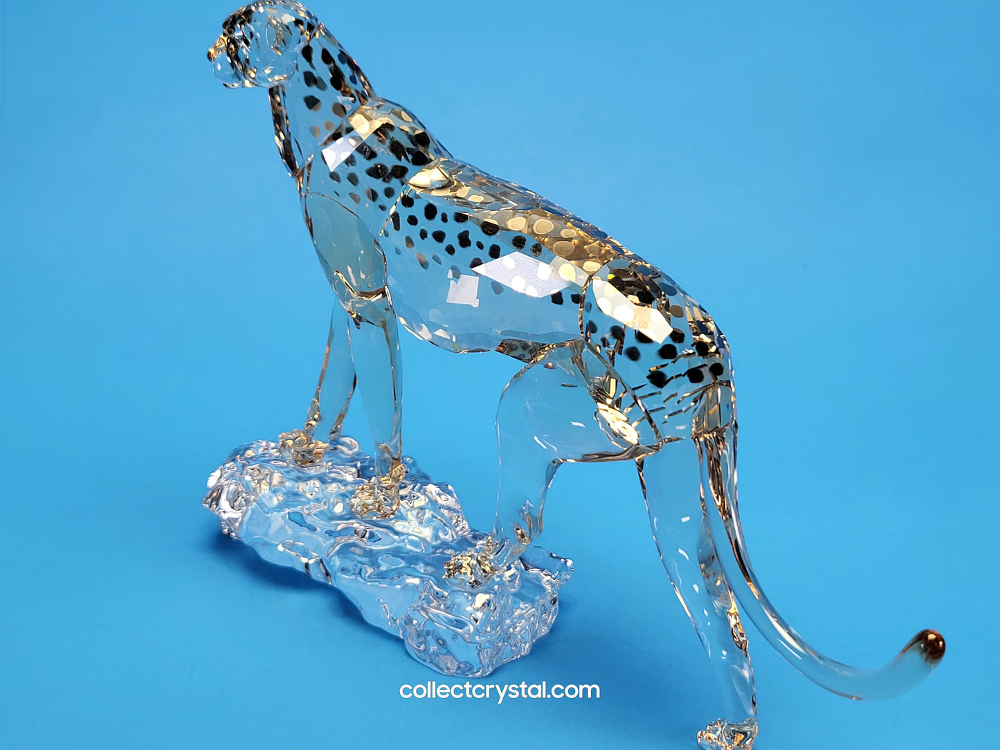 ELEGANCE OF AFRICA CHEETAH MEHIRA # 5636241 2023 ANNUAL EDITION