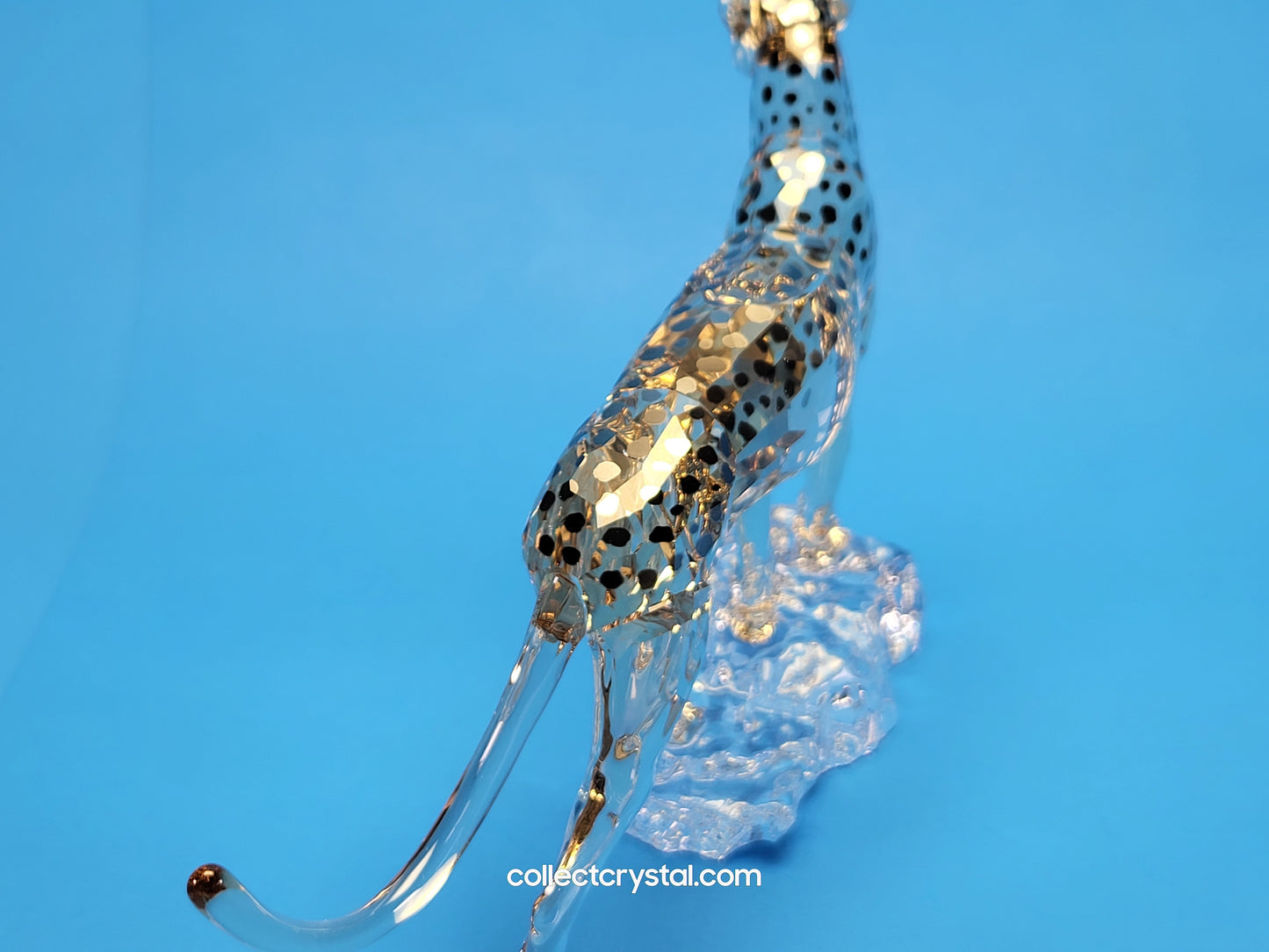 ELEGANCE OF AFRICA CHEETAH MEHIRA # 5636241 2023 ANNUAL EDITION