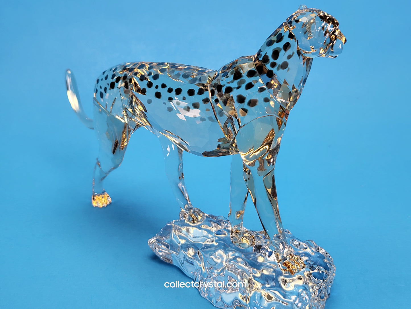 ELEGANCE OF AFRICA CHEETAH MEHIRA # 5636241 2023 ANNUAL EDITION