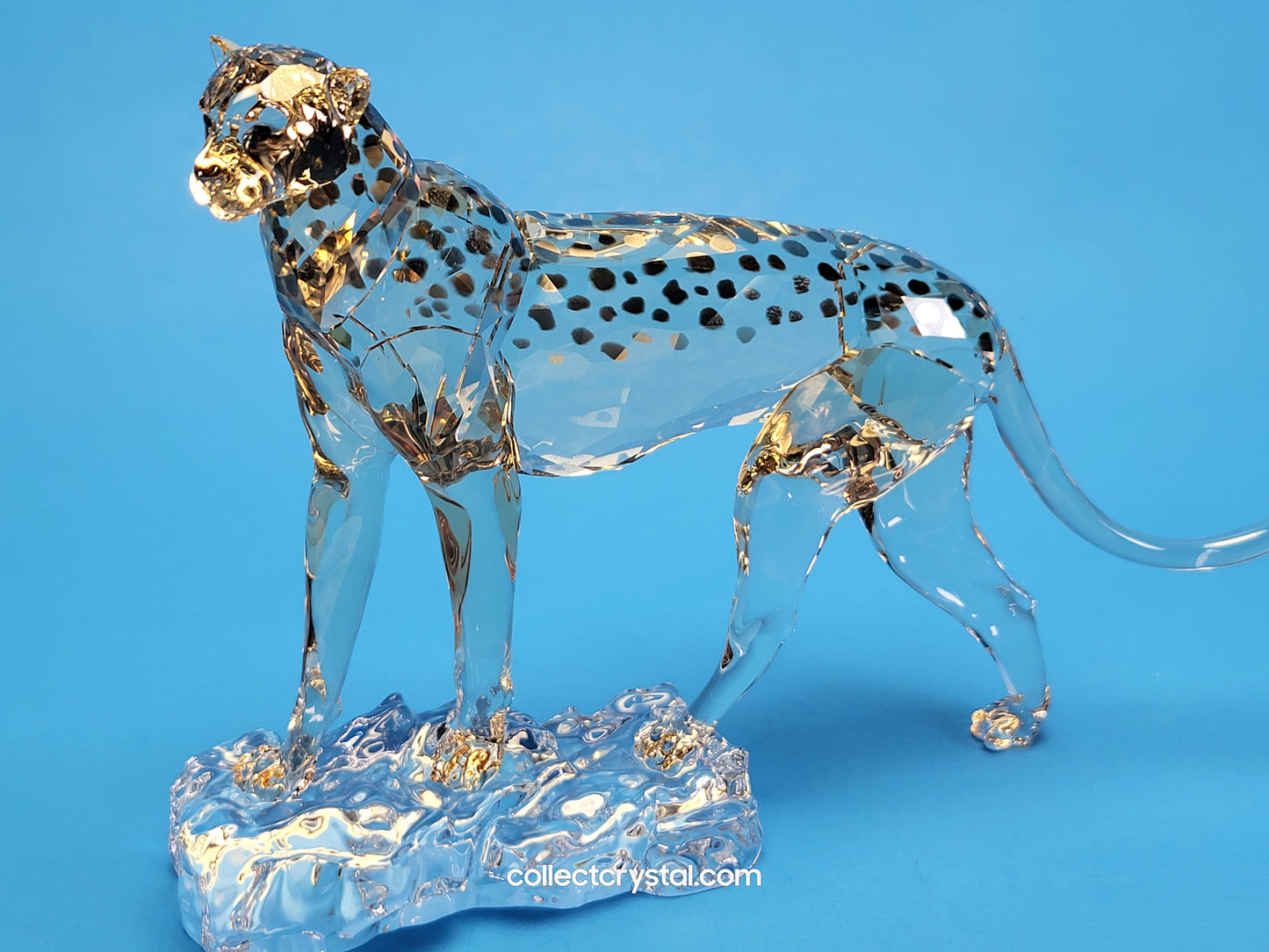 ELEGANCE OF AFRICA CHEETAH MEHIRA # 5636241 2023 ANNUAL EDITION