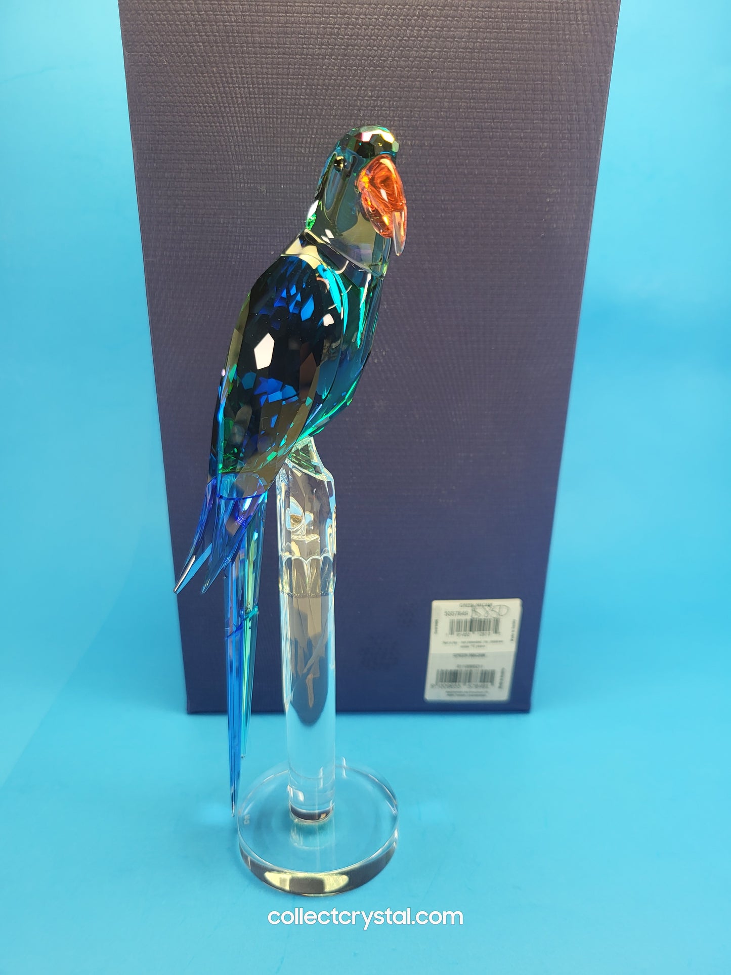 Bird JUNGLE BEATS – GREEN MACAW BANJO Bird # 5557849