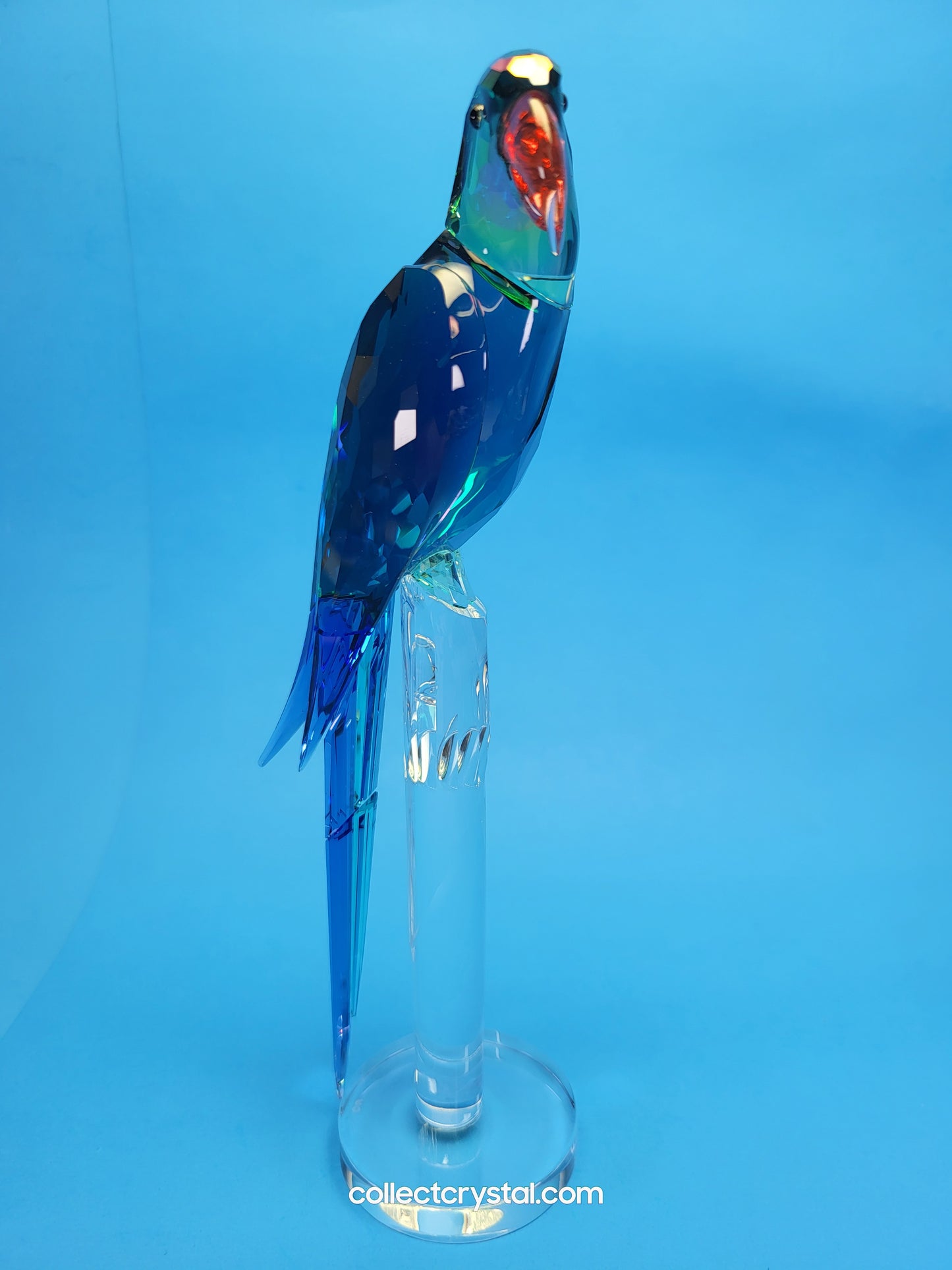 Bird JUNGLE BEATS – GREEN MACAW BANJO Bird # 5557849
